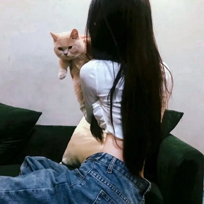 一本正经